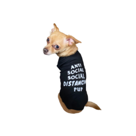 Anti Social Social Distancing Pup (Color: black, size: small)