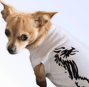 Hairmes Dragon Tee (Color: White, size: X Small)