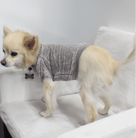 Doggy Tee (Color: Coco, size: XL)