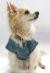 Doggy Tee (Color: Hunter, size: large)