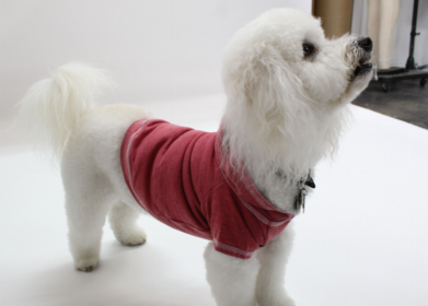 Doggy Hoodie French Terry (Color: Brick, size: large)